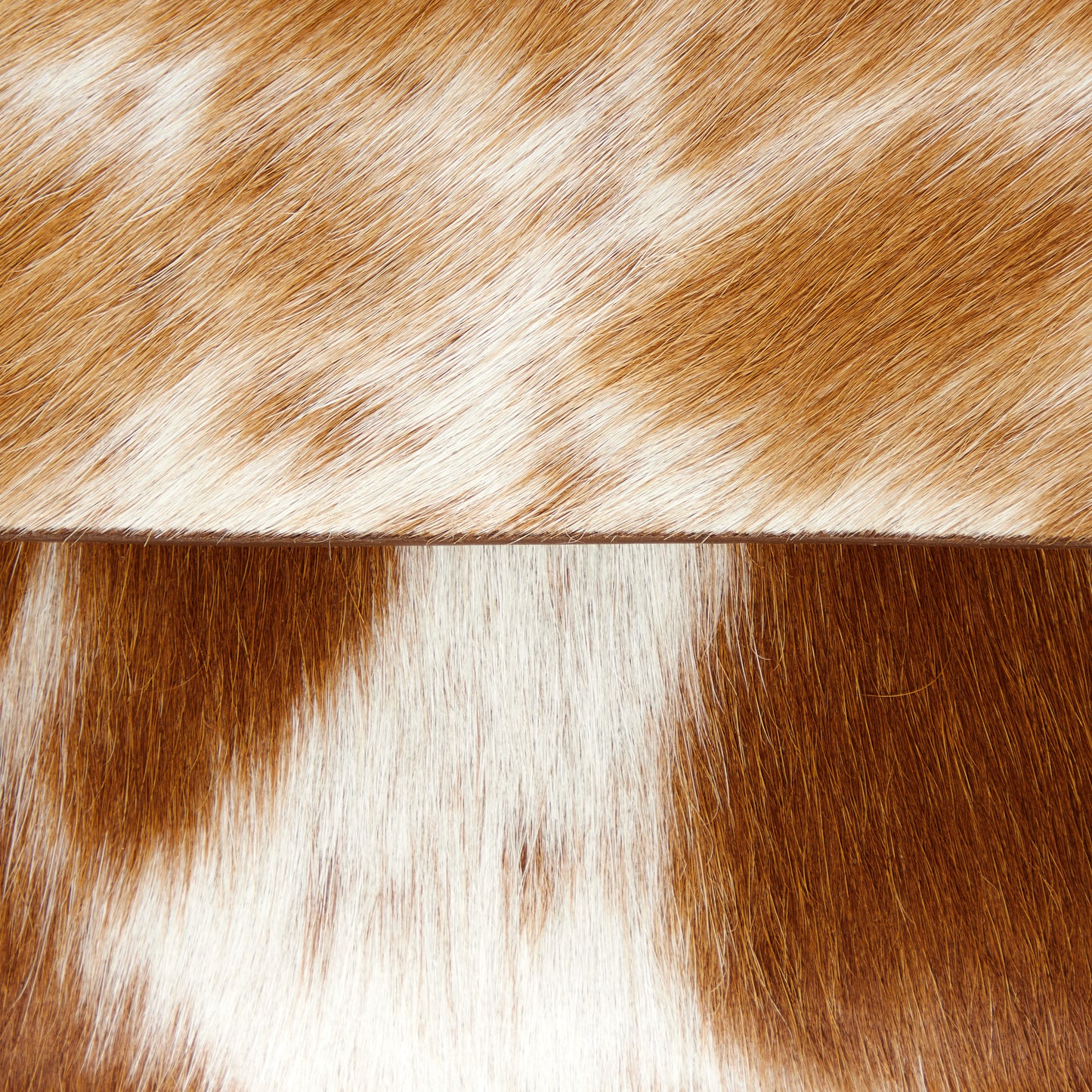 Bright Haven Laptop Sleeve