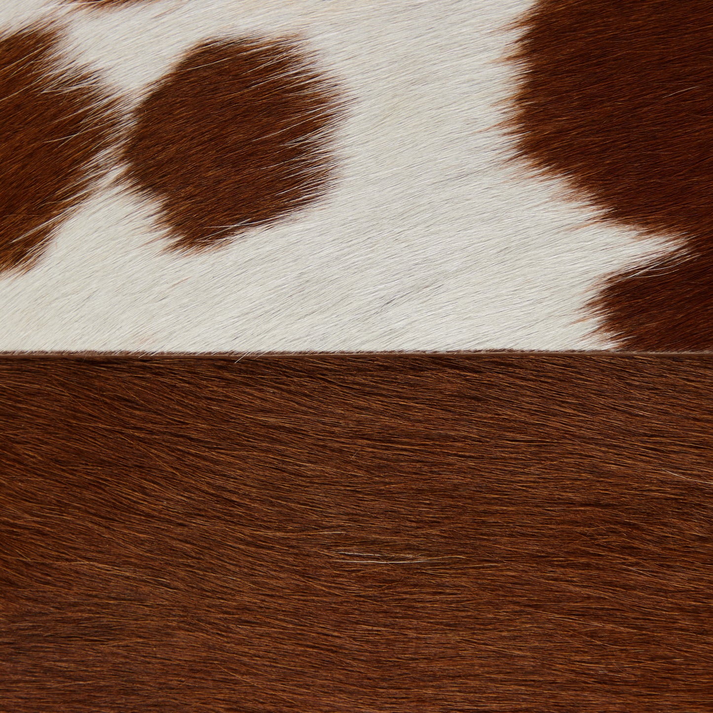 Dark Haven Laptop Sleeve